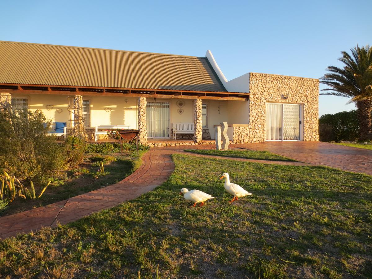 My Travelution - Travel Club - Masada Guest House