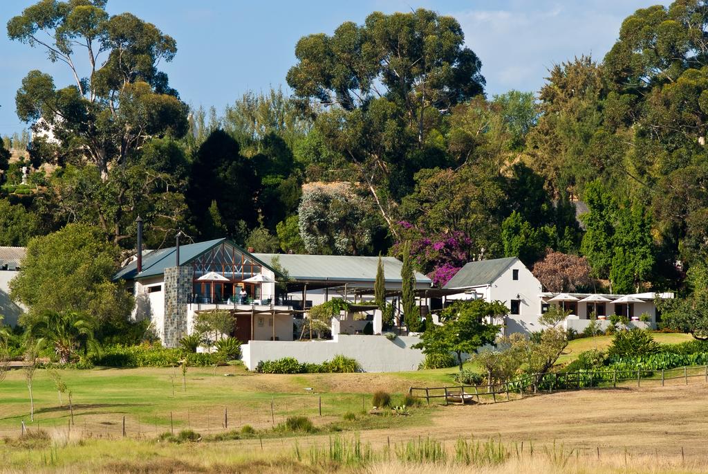 My Travelution - Travel Club - Diemersfontein Wine Estate
