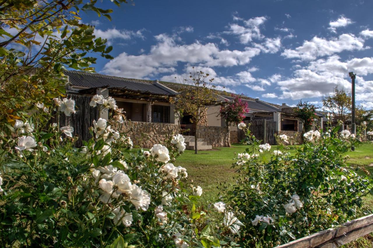 My Travelution - Travel Club - Oewerzicht Luxury Tented River Lodge