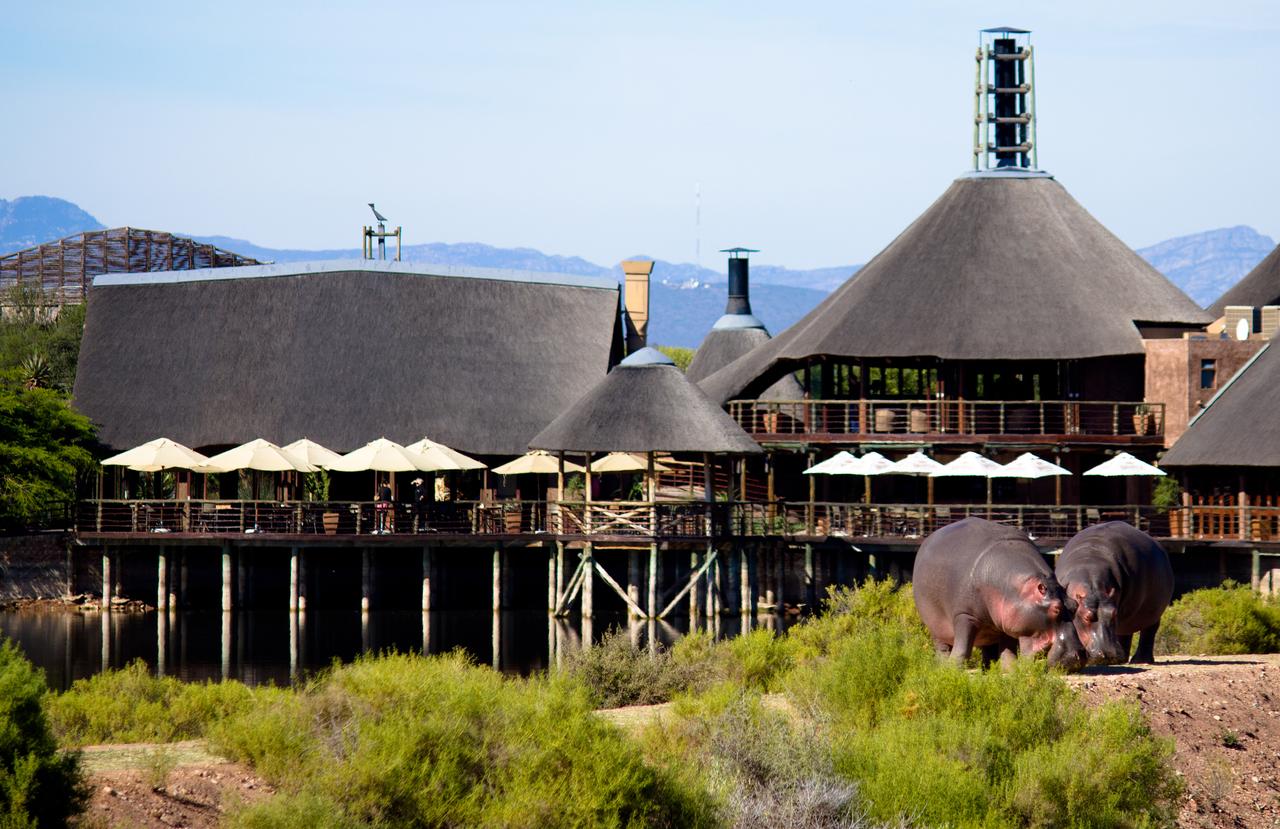 My Travelution - Travel Club - Buffelsdrift Game Lodge