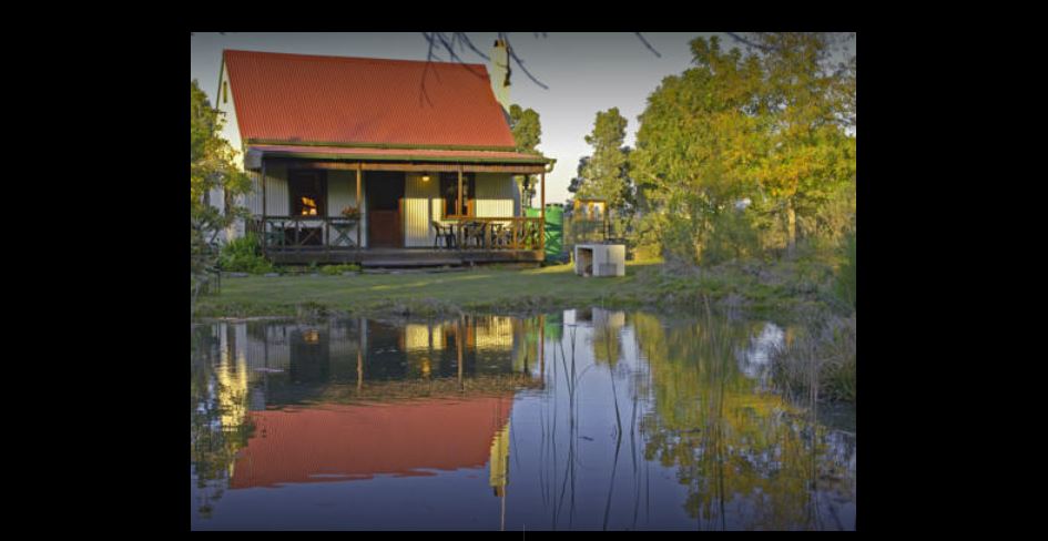 My Travelution - Travel Club - Forest Edge Nature Lovers Retreat