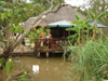 My Travelution - Travel Club - Pongola Tropical