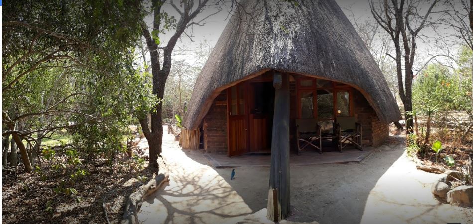 My Travelution - Travel Club - Cheetah Plains