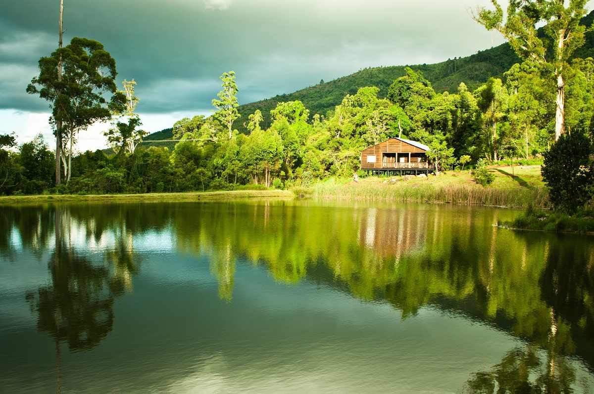 My Travelution - Travel Club - Magoebaskloof Getaway - Log Cabin 4