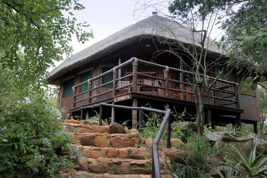 My Travelution - Travel Club - Shayamoya Tiger Fishing & Game Lodge