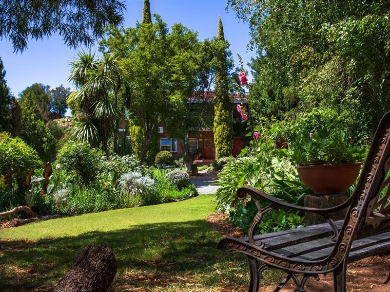 My Travelution - Travel Club - Oppie Koppie B&b