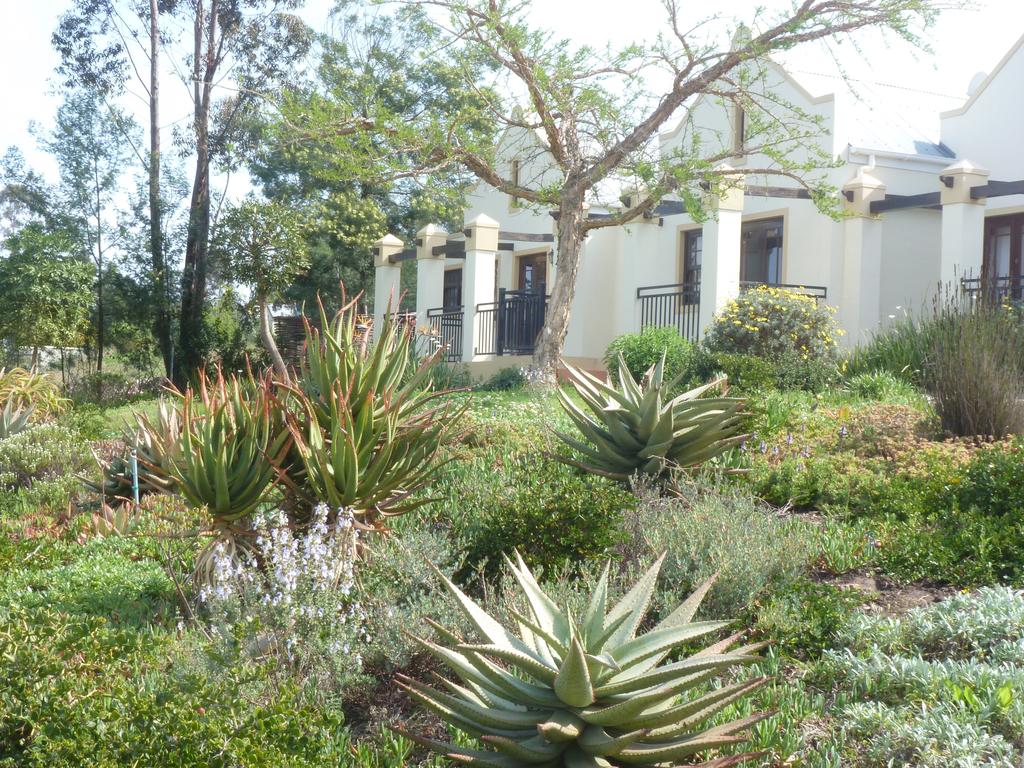 My Travelution - Travel Club - Langeberg Guest Lodge