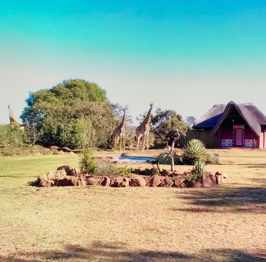 My Travelution - Travel Club - Thaba Pitsi Nature Reserve - The Eco Lodge
