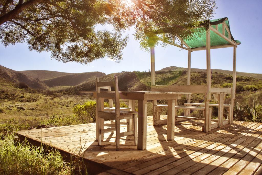 My Travelution - Travel Club - Bergsig Guest Farm - The White Rhino Unit