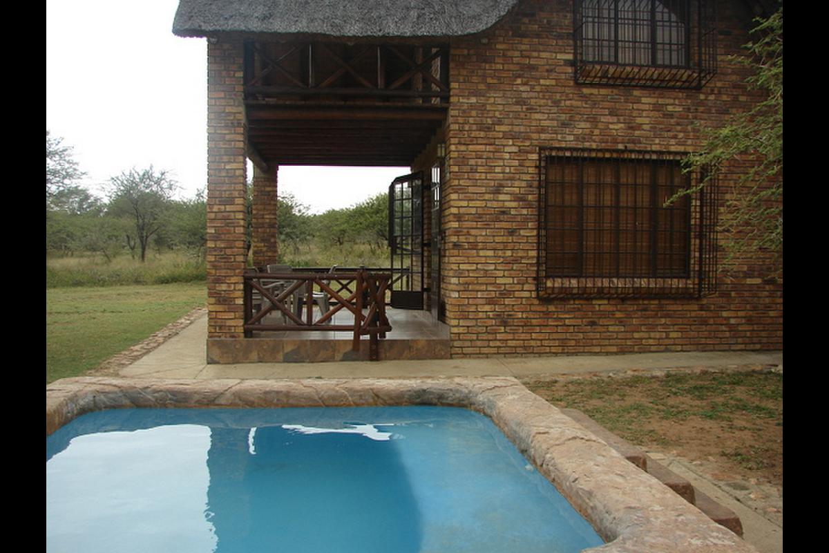 My Travelution - Travel Club - Savanna Pride