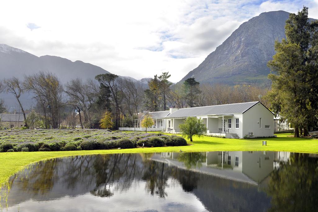 My Travelution - Travel Club - Lavender Farm Guest House