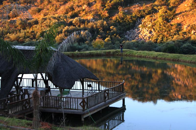 My Travelution - Travel Club - Emahlathinii Guest Farm