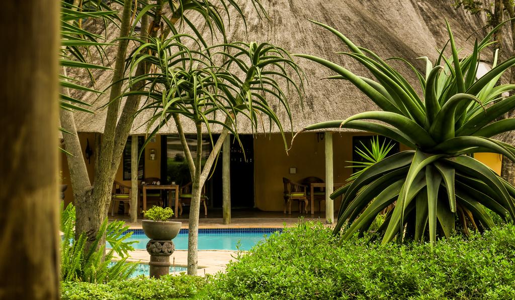 My Travelution - Travel Club - Ntaba River Lodge