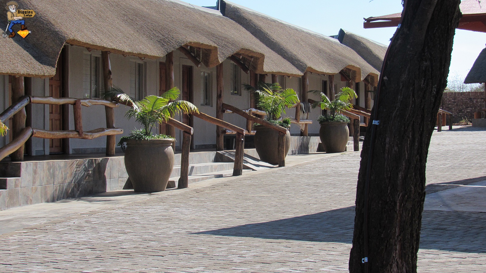 My Travelution - Travel Club - Diggies Lodge