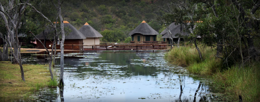 My Travelution - Travel Club - Ezingweni Safari Lodge