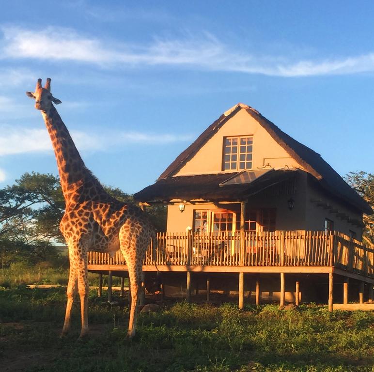 My Travelution - Travel Club - Ukuthula Lodge