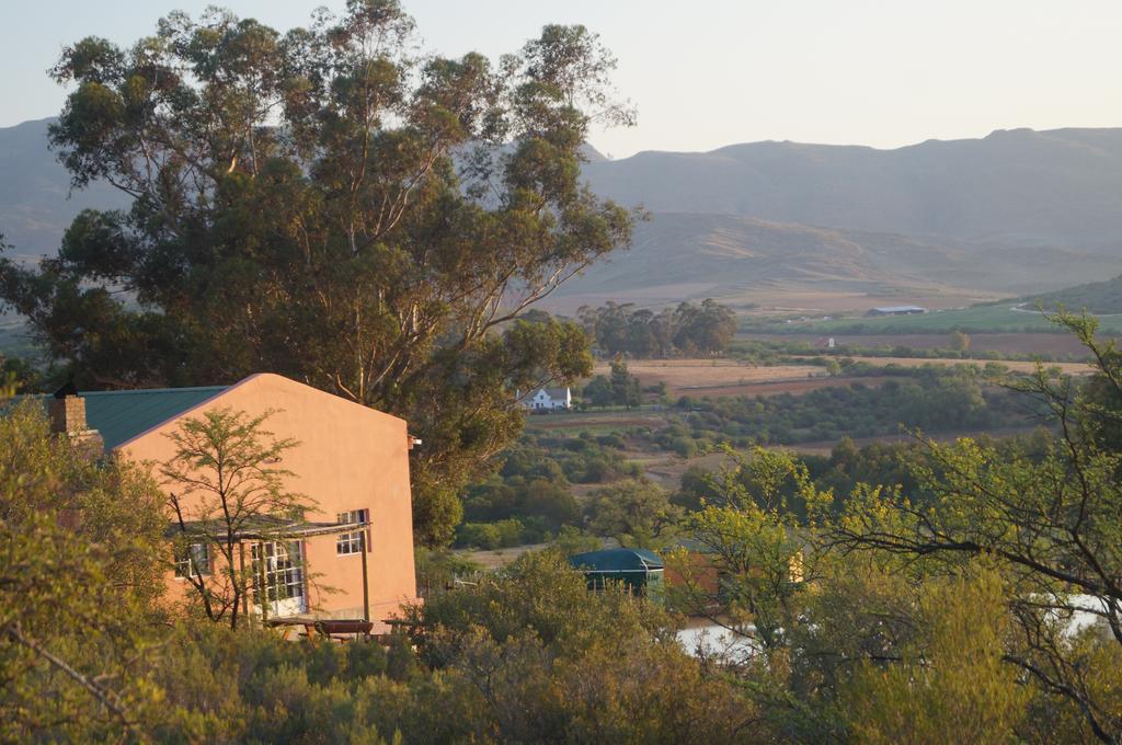 My Travelution - Travel Club - Swartberg Backpackers
