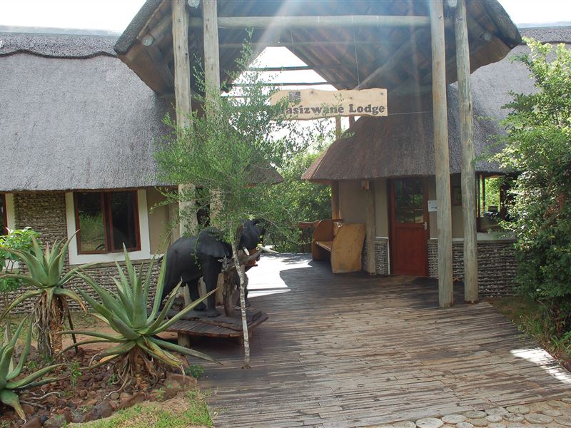 My Travelution - Travel Club - Royal Thonga Safari Lodge