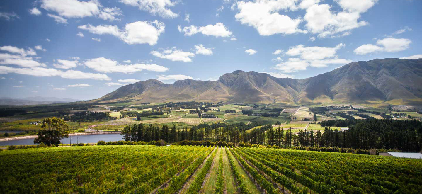 My Travelution - Travel Club - Hemel & Aarde Village