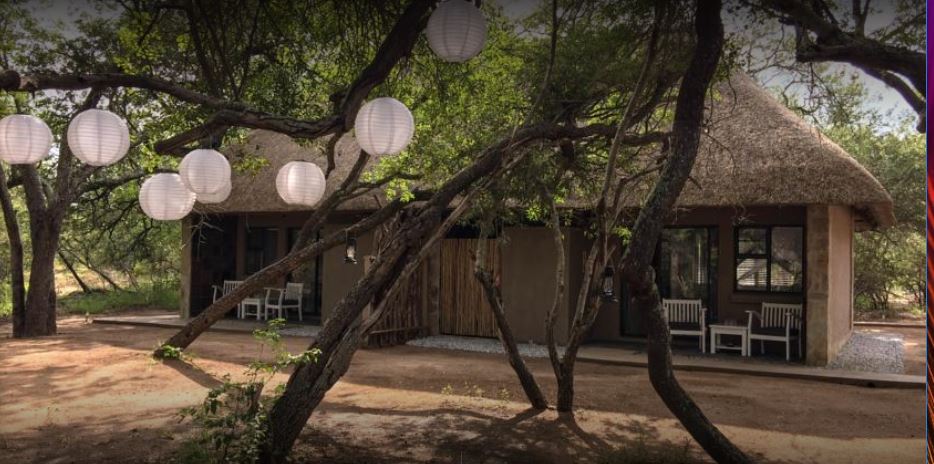 My Travelution - Travel Club - Bushbaby River Lodge