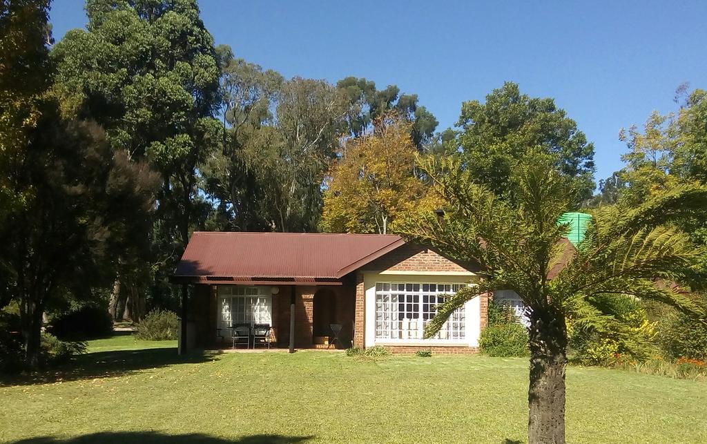 My Travelution - Travel Club - Kamberg Mountain Shadows