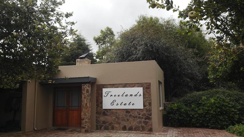 My Travelution - Travel Club - Treelands Abbey