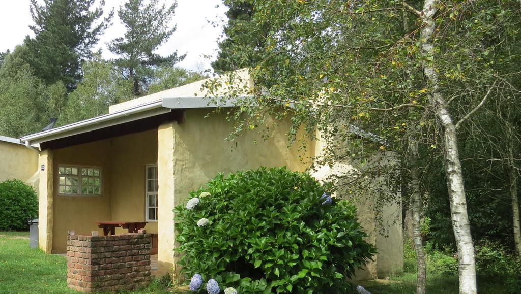 My Travelution - Travel Club - The Edge Mountain Retreat - Pin Oak Cottage