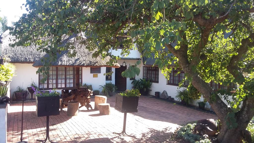 My Travelution - Travel Club - Norfolk Pine Guesthouse