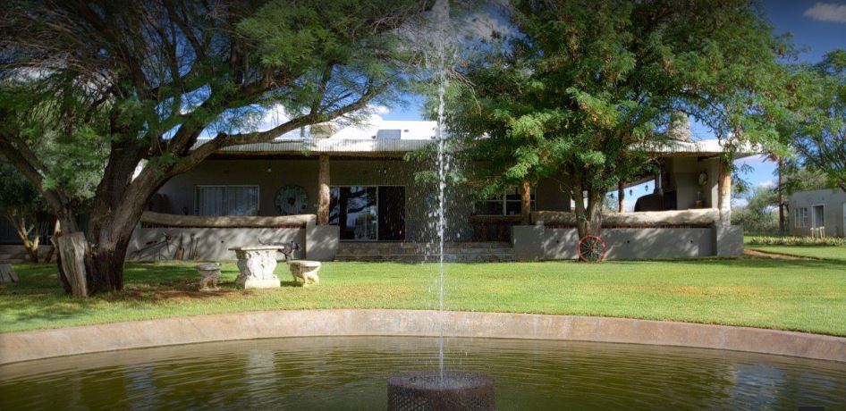 My Travelution - Travel Club - Die Olyfhuis Guesthouse