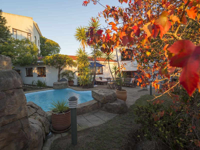 My Travelution - Travel Club - Blue Oyster B&B