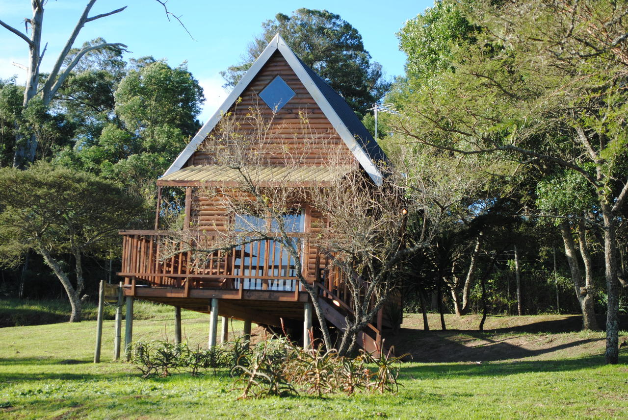My Travelution - Travel Club - A Stone's Throw Accommodation