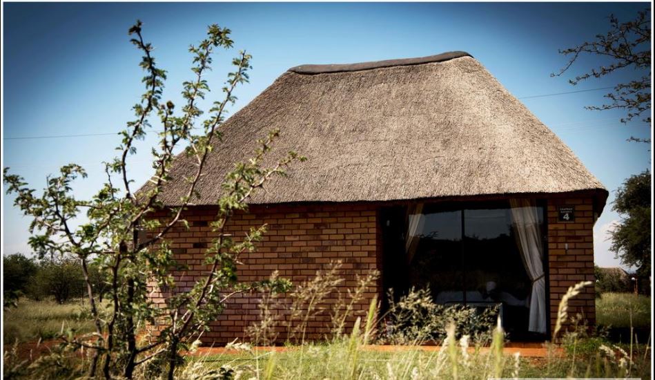 My Travelution - Travel Club - Chapman Safaris Game Lodge