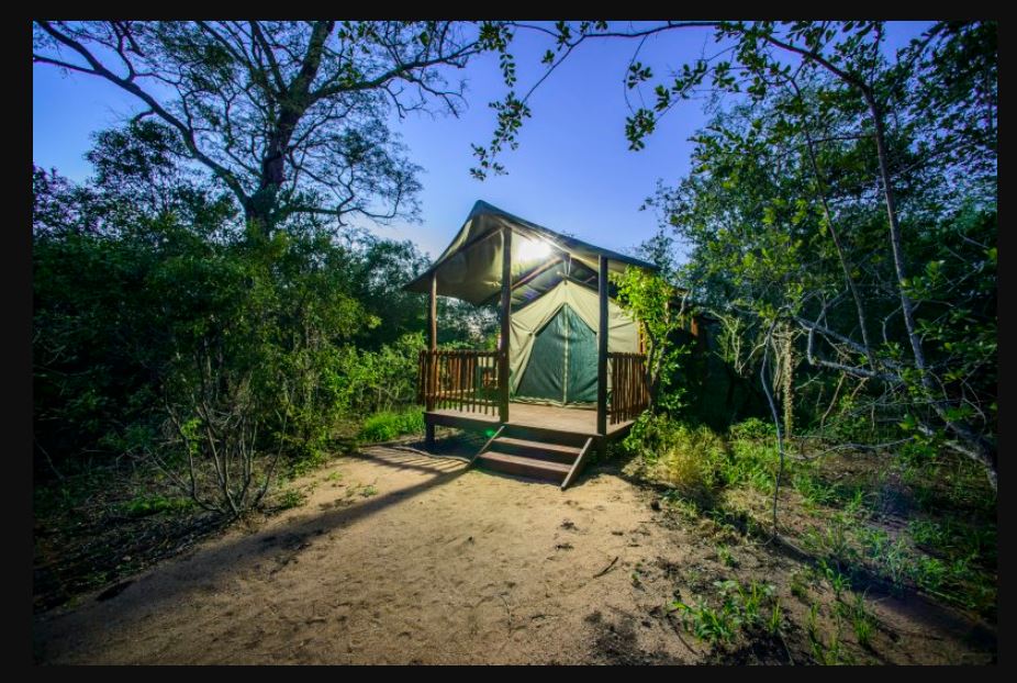 My Travelution - Travel Club - Shalati Safari Camp
