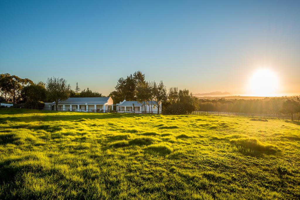 My Travelution - Travel Club - Marshden Estate