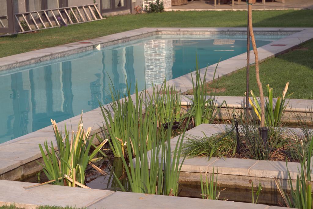My Travelution - Travel Club - Veranda House Boutique Accommodation