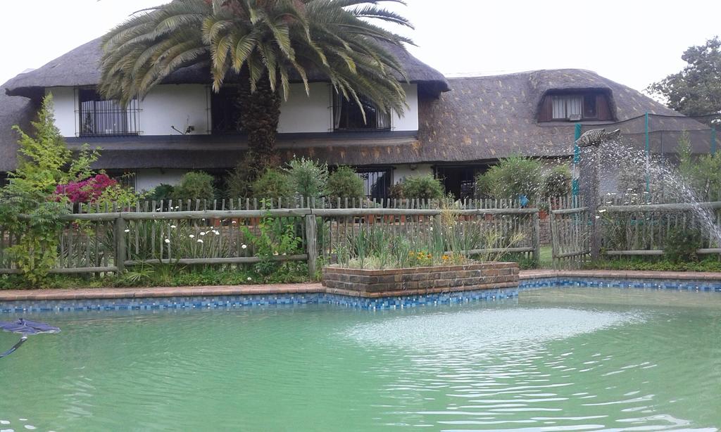 My Travelution - Travel Club - Damfela Eco Lodge