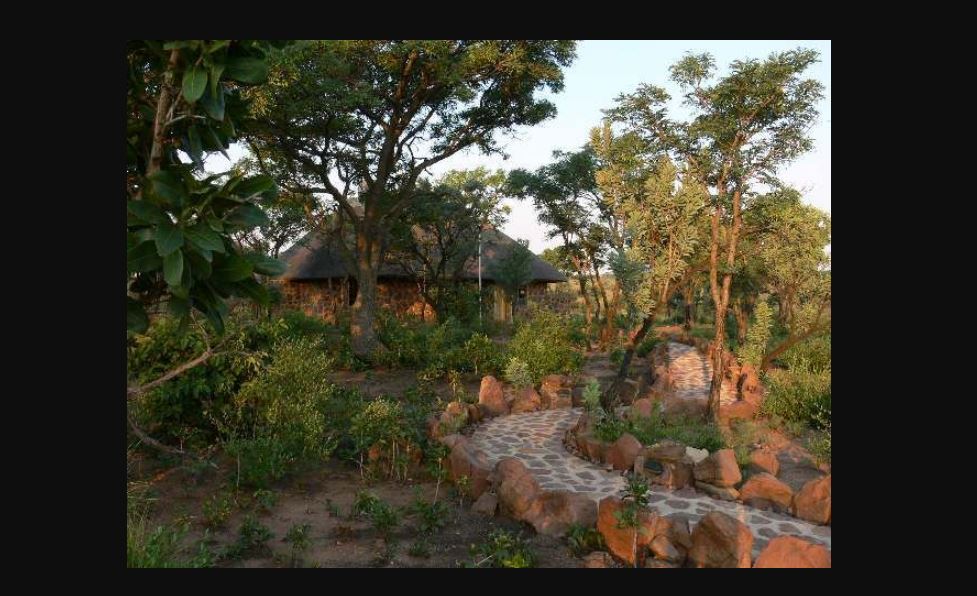 My Travelution - Travel Club - Abloom Bush Lodge and Spa Retreat