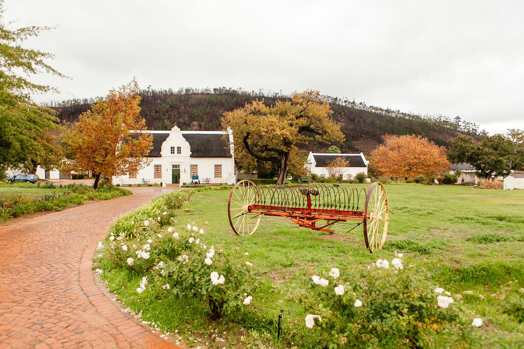 My Travelution - Travel Club - Basse Provence Country House