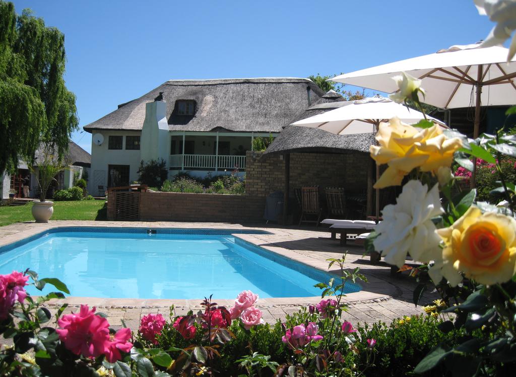My Travelution - Travel Club - Acara Guest House