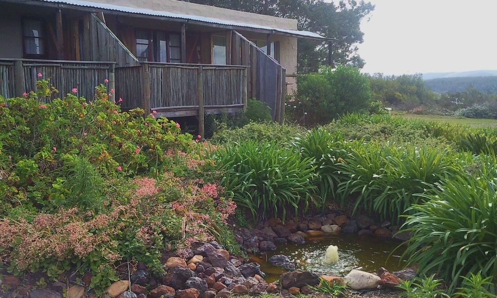 My Travelution - Travel Club - Protea Wilds Retreat