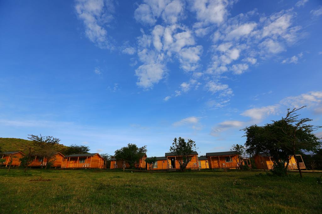 My Travelution - Travel Club - Jambo Mara Safari Lodge