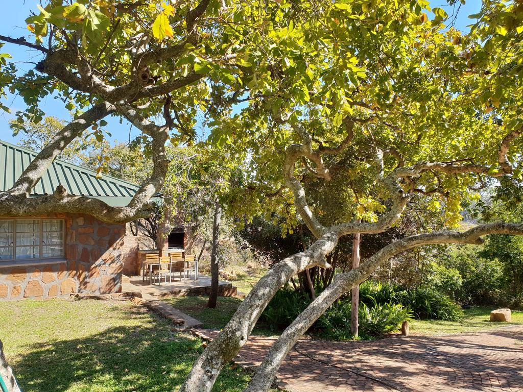 My Travelution - Travel Club - Milorho Lodge