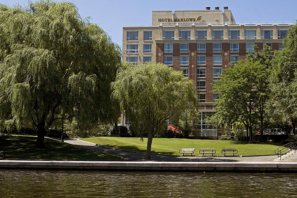 My Travelution - Travel Club - Kimpton Marlowe Hotel