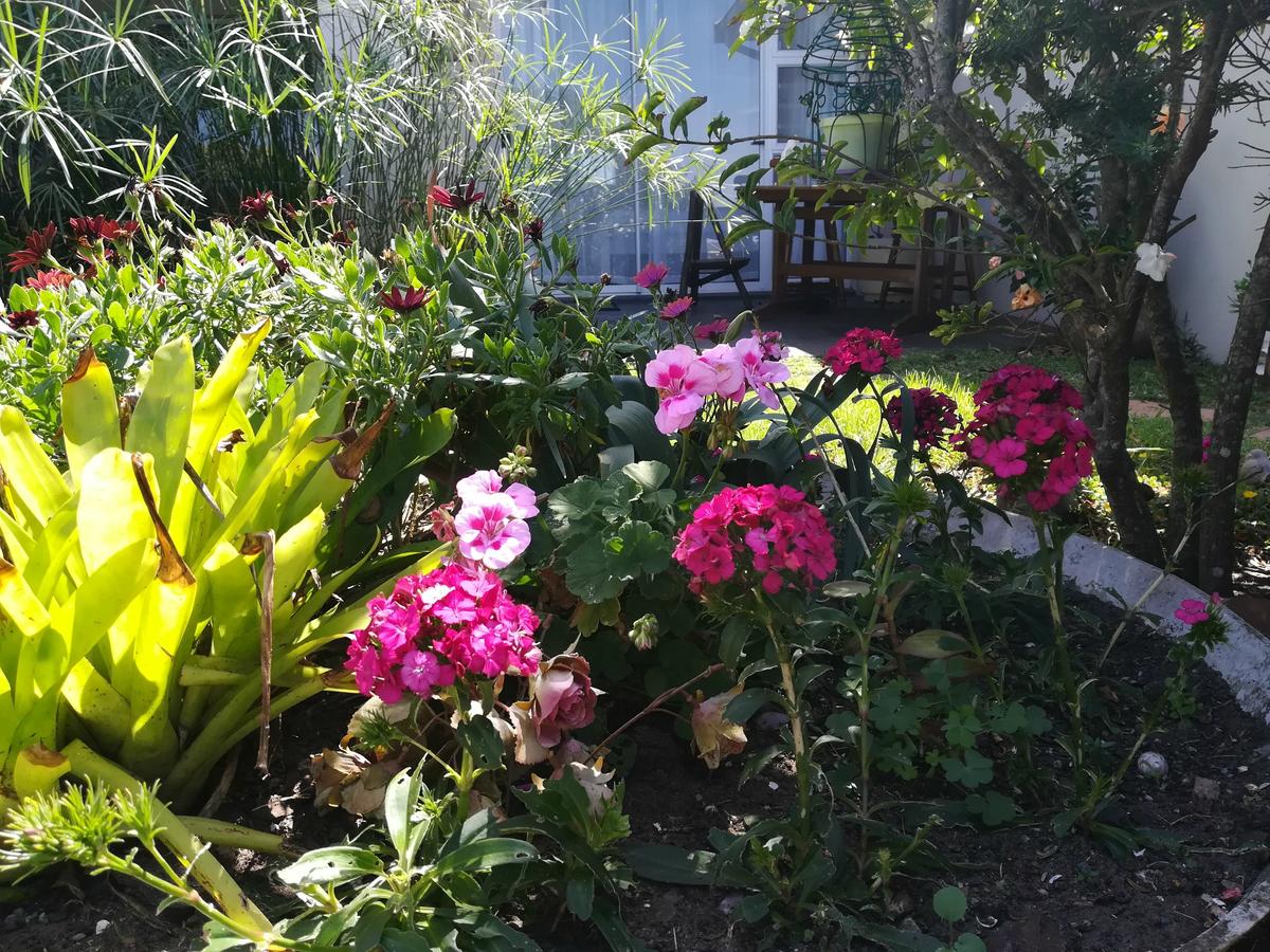 My Travelution - Travel Club - The Coelacanth Guesthouse