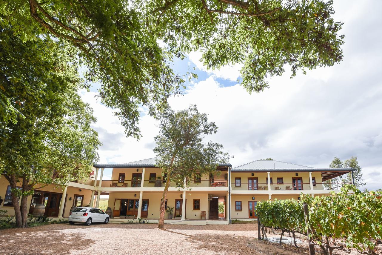 My Travelution - Travel Club - Lovane Boutique Wine Estate and Guest House