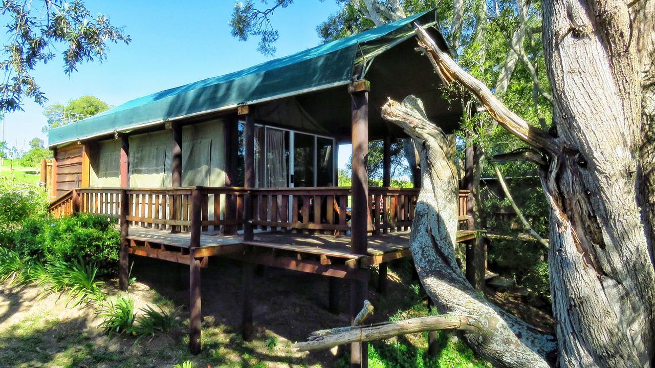 My Travelution - Travel Club - 7 Passes Tented Camp