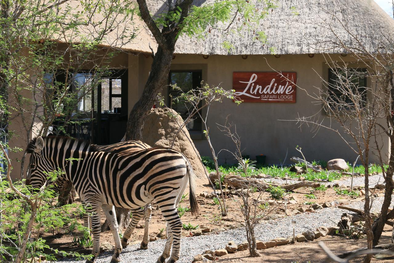 My Travelution - Travel Club - Lindiwe Safari Lodge