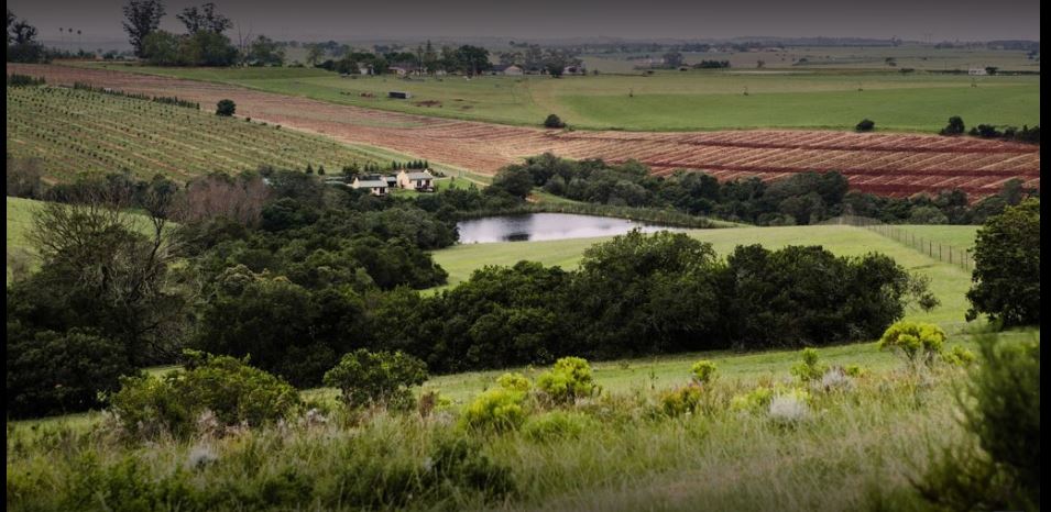 My Travelution - Travel Club - Hakuna Matata Game Farm