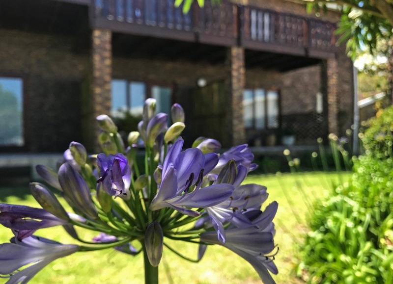 My Travelution - Travel Club - Plett Beacon House