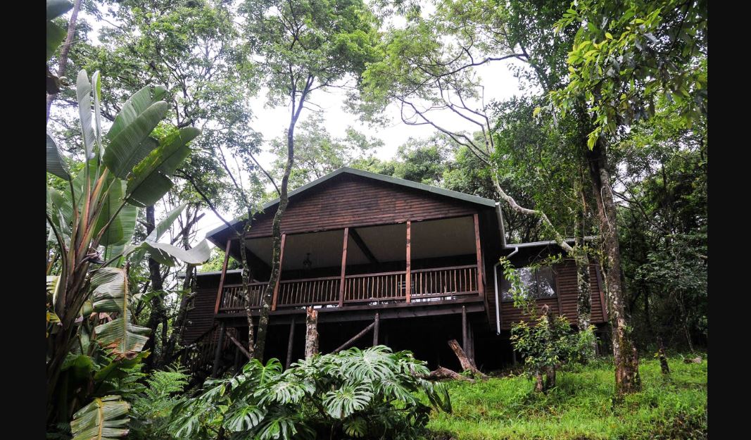 My Travelution - Travel Club - Forest Bird Lodge